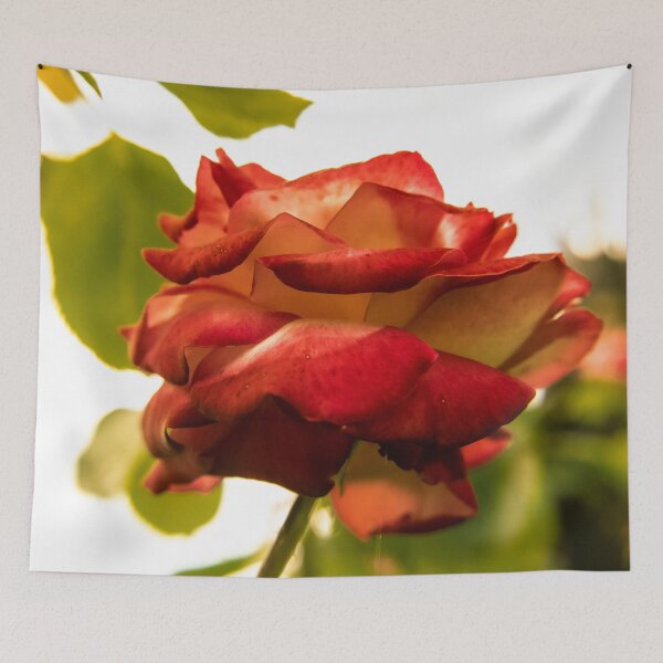 Item preview, Garden Photography #9 designed and sold by Olympia Ellinas.