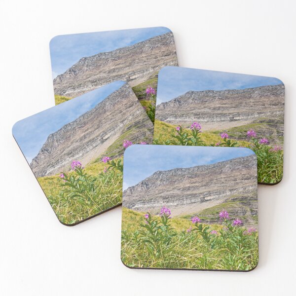 Item preview, Meadow of Fireweed Below the Continental Divide designed and sold by Jeff Goulden Photography.