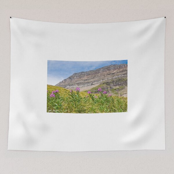 Item preview, Meadow of Fireweed Below the Continental Divide designed and sold by Jeff Goulden Photography.
