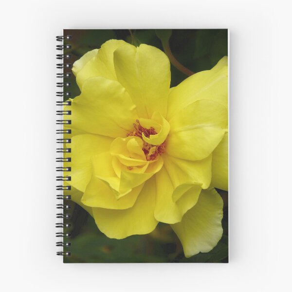 Item preview, Yellow Rose designed and sold by AnitaLynne.