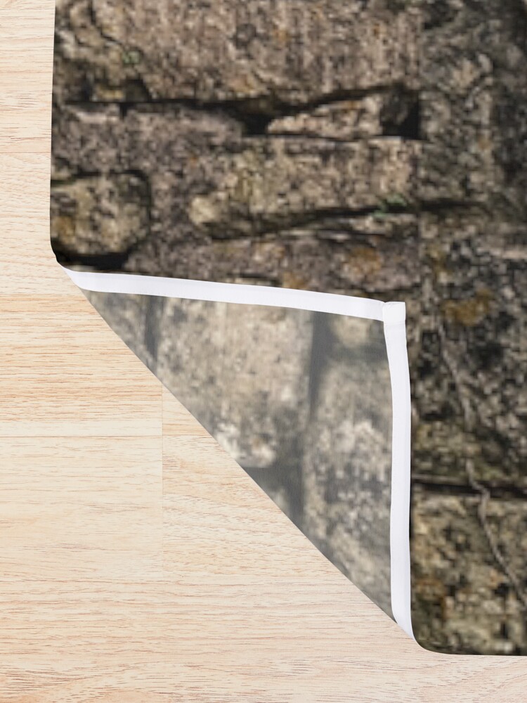 Ancient Weathered Stone Wall Shower Curtain By Stevepaint Redbubble