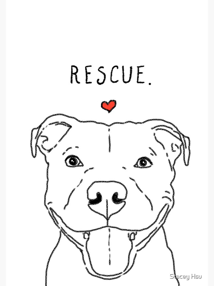Smiling Pit Bull, Rescue Pit Bull, Rescue Dog, Adopt Don't Shop
