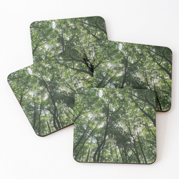 Item preview, Forest designed and sold by LRWFLIGHTART.