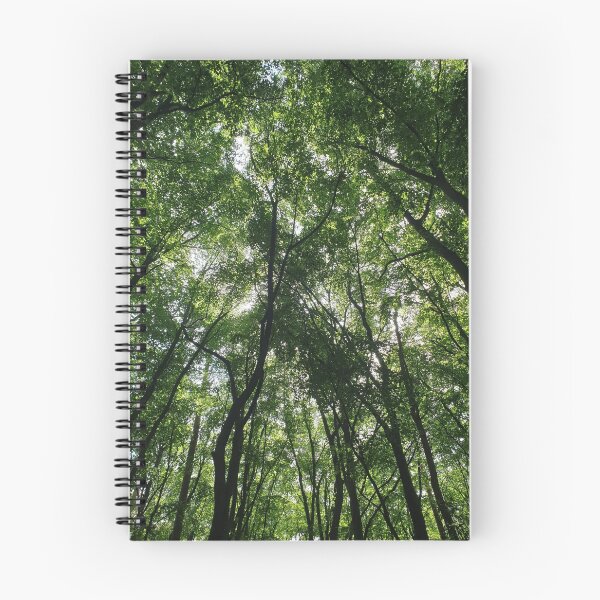 Item preview, Forest designed and sold by LRWFLIGHTART.