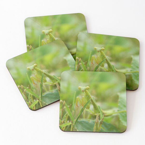 Item preview, Praying Mantis designed and sold by Ashley Gagnon.