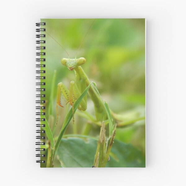 Item preview, Praying Mantis designed and sold by Ashley Gagnon.