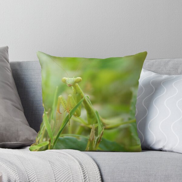 Item preview, Praying Mantis designed and sold by Ashley Gagnon.