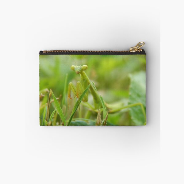 Item preview, Praying Mantis designed and sold by Ashley Gagnon.