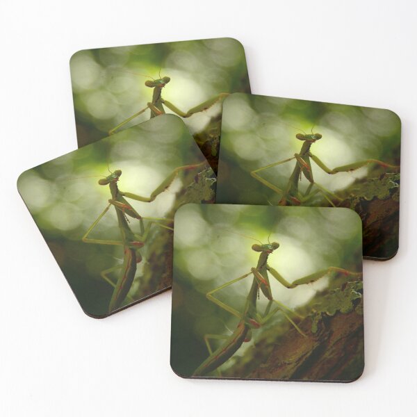 Item preview, Forest Queen designed and sold by Ashley Gagnon.