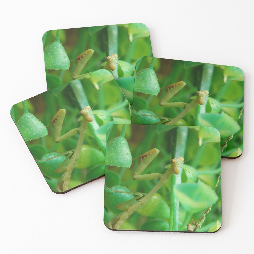Item preview, Coasters (Set of 4) designed and sold by TrapperWeasel.