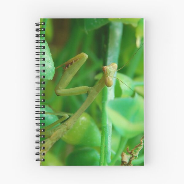 Item preview, Mantis designed and sold by Ashley Gagnon.