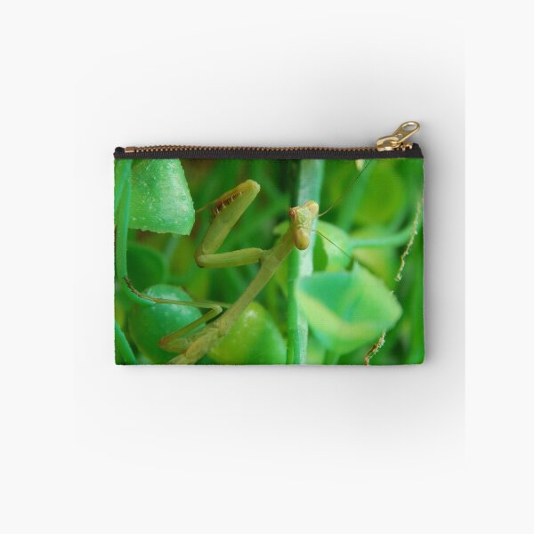 Item preview, Mantis designed and sold by Ashley Gagnon.