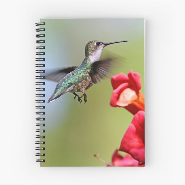 Item preview, Hummingbird And the Trumpets designed and sold by Deb Oppermann.