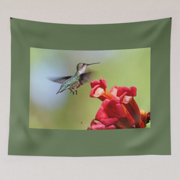 Item preview, Hummingbird And the Trumpets designed and sold by Deb Oppermann.
