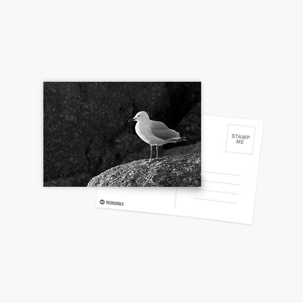 Item preview, Silver Gull designed and sold by Will Hore-Lacy.