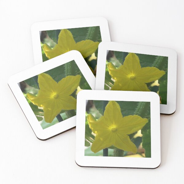 Item preview, Cucumber Flower designed and sold by Takisha Hearne.