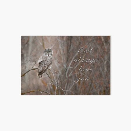 Owl Always Love You. Art Board Print