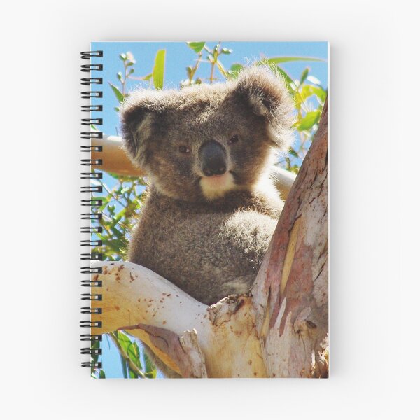 Item preview, Koala in Tree designed and sold by hurky.