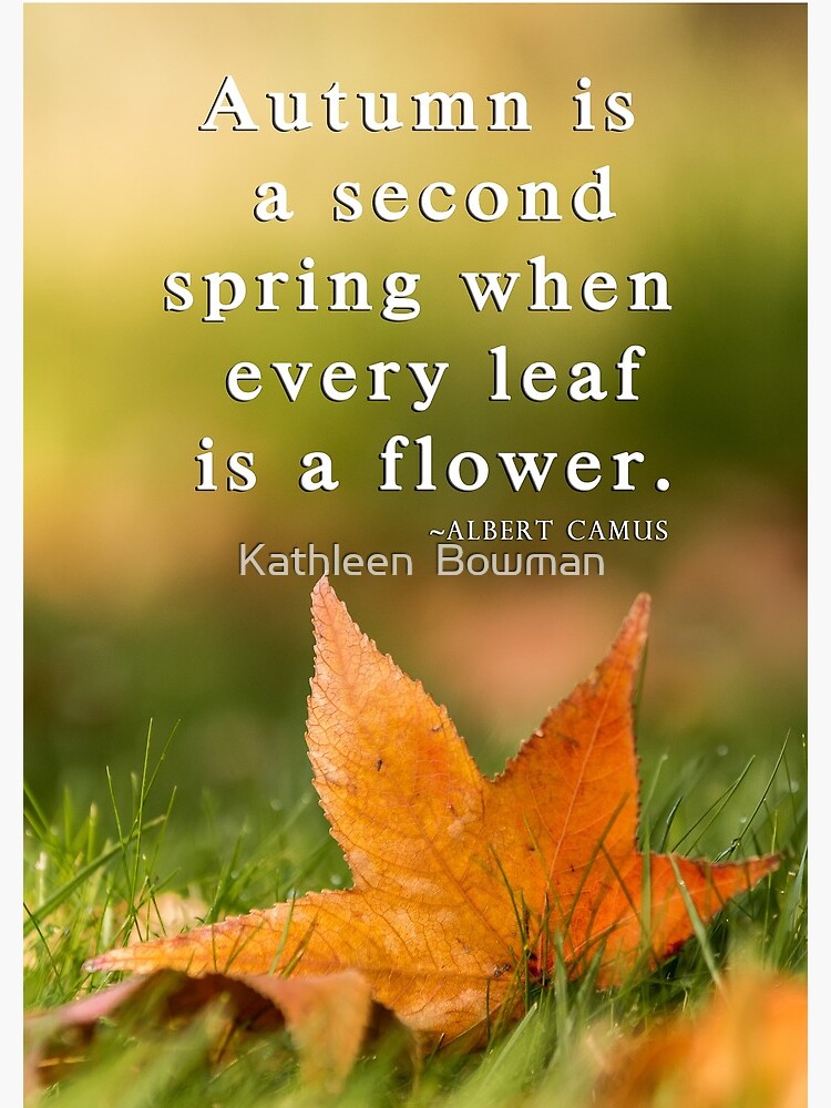 Autumn is a second spring by KathleenBowman