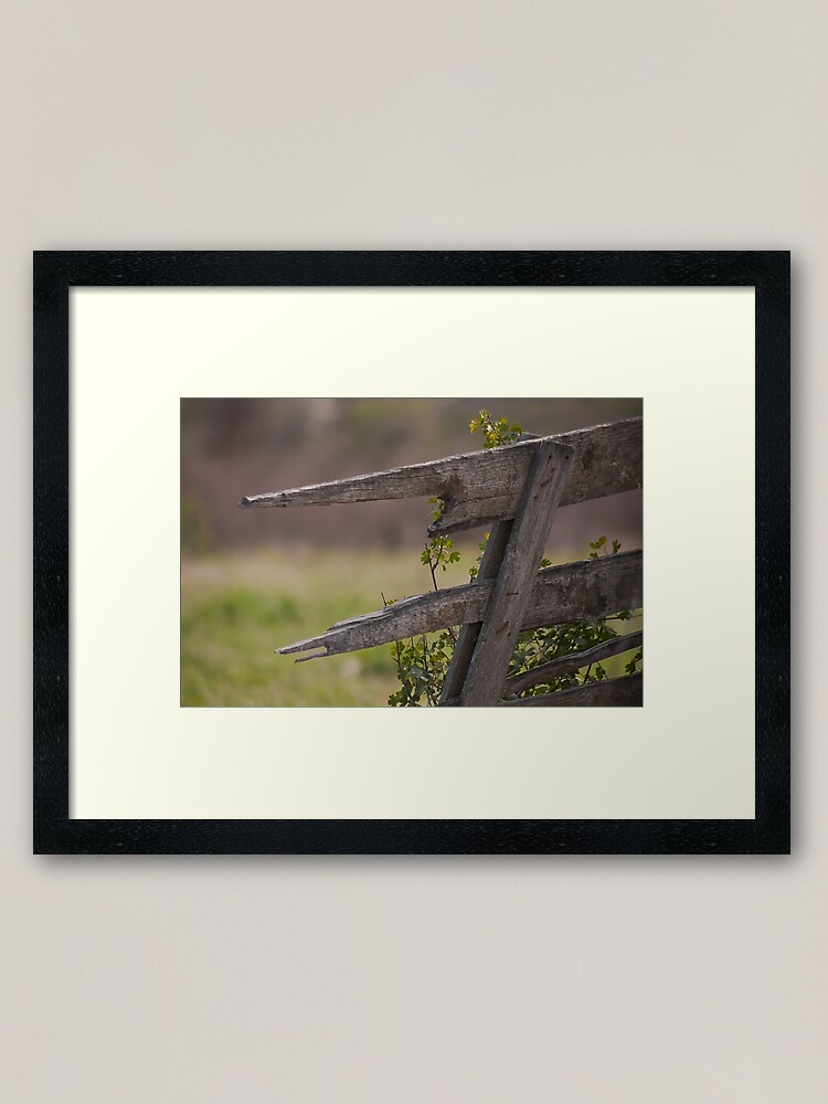 Alternate view of Broken Fence 2 Framed Art Print