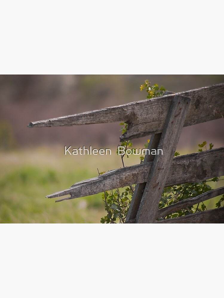 Broken Fence 2 by KathleenBowman