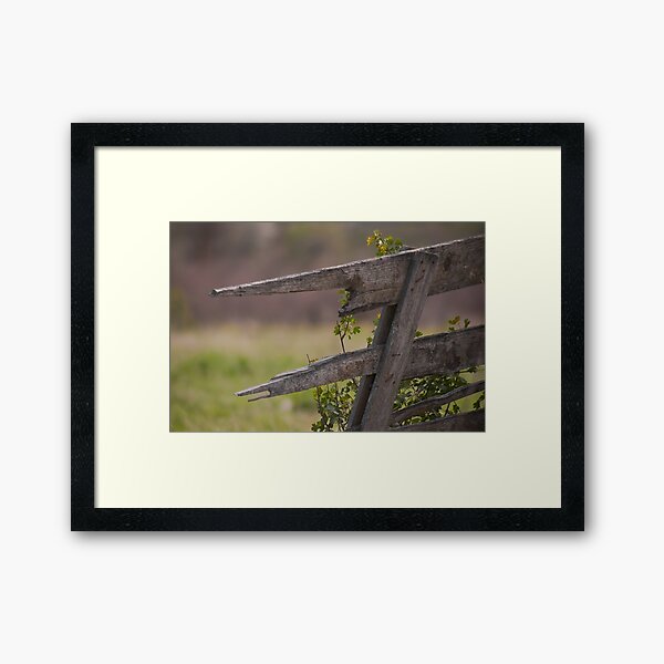 Broken Fence 2 Framed Art Print