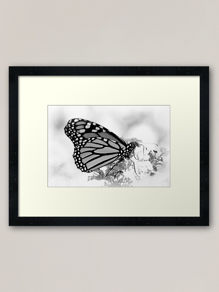 Alternate view of Monarch Framed Art Print
