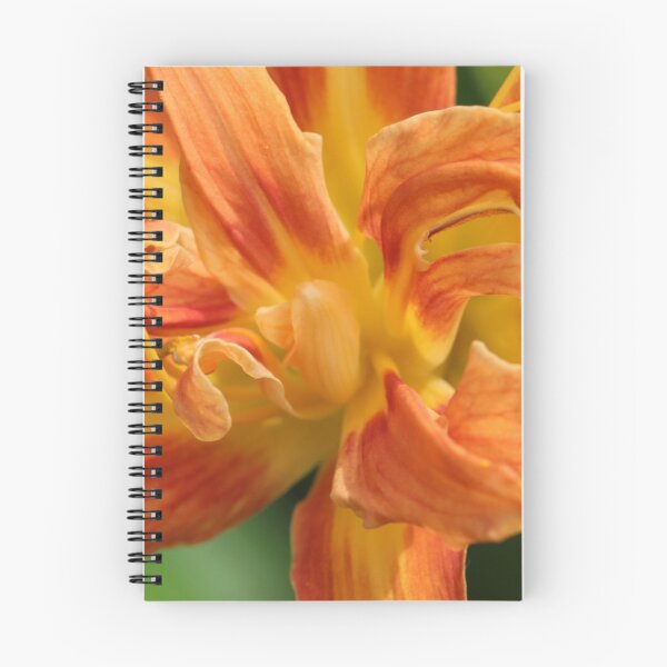 Item preview, Hemerocallis designed and sold by cuprum.