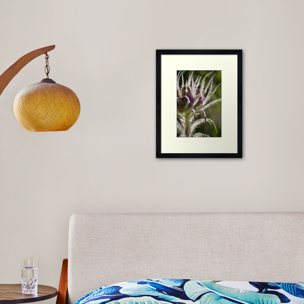 Elk Thistle Framed Art Print