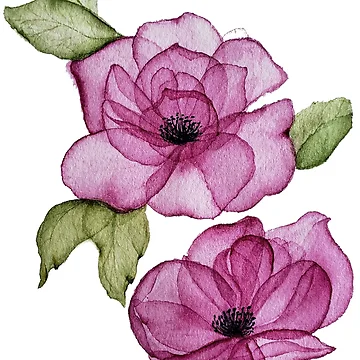 Artwork thumbnail, Translucent Rose by Reneesodyssey