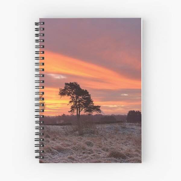 Item preview, Amanecer en una mañana helada en Dumfries designed and sold by Hugh McKean.