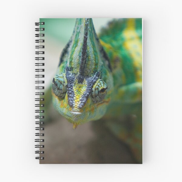 Item preview, Chameleon designed and sold by Andre Gascoigne.