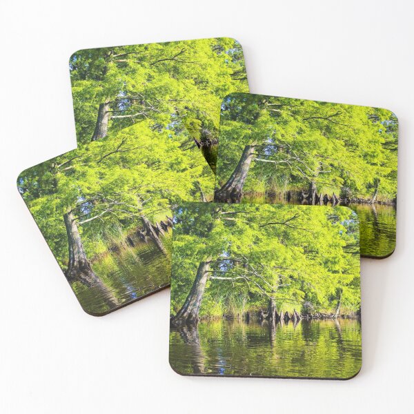 Item preview, Water Reflections of the Back Bay designed and sold by SamanthaLane757.