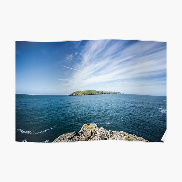 Skomer Island Poster