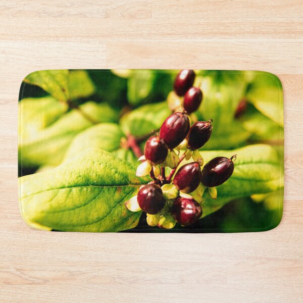 Item preview, Garden Photography #15 designed and sold by Olympia Ellinas.