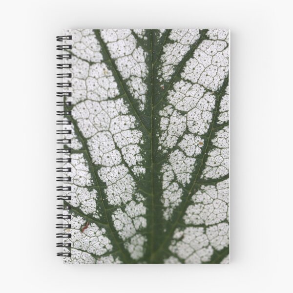 Item preview, ¿Plan de calle para insectos? designed and sold by cuprum.