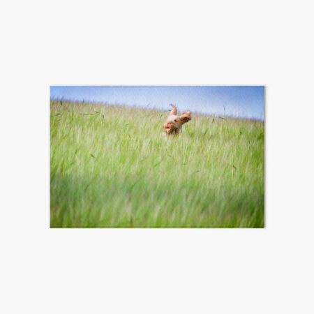 Let life surprise you Spinone Art Board Print