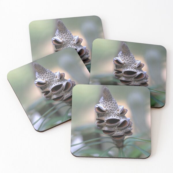 Item preview,  Banksia integrifolia seed pod designed and sold by ausnative.