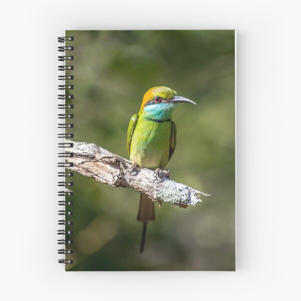 Item preview, Sri Lanka. Yala National Park. Bee Eater Bird. designed and sold by vadim19.