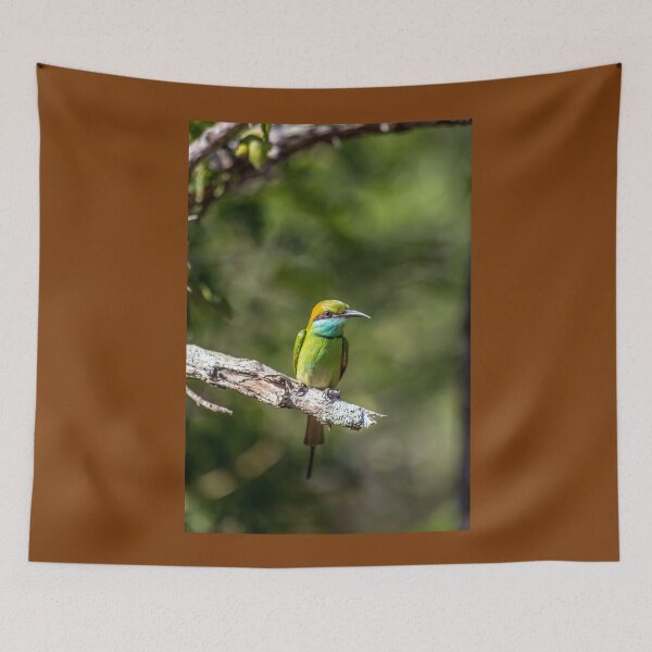 Item preview, Sri Lanka. Yala National Park. Bee Eater Bird. designed and sold by vadim19.