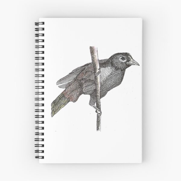Item preview, Crested oropendola designed and sold by Rosa Elena Albornoz Mendez.