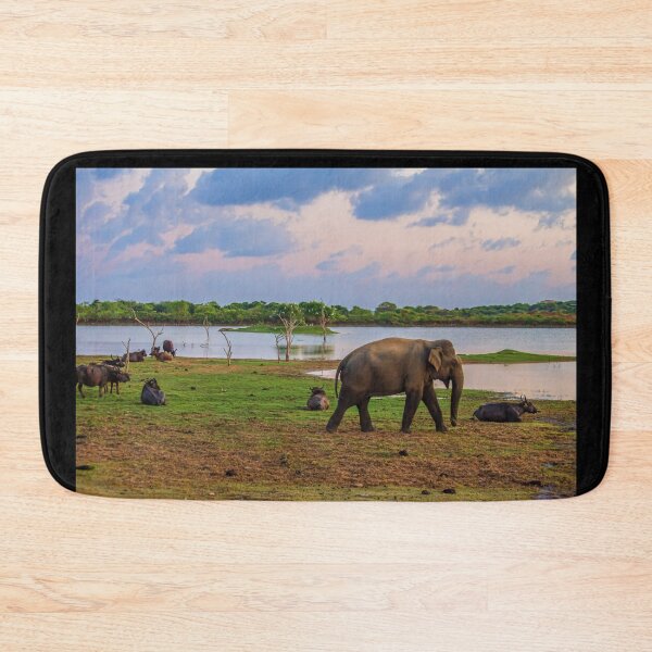 Item preview, Sri Lanka. Yala National Park. Elephant and Buffalo. Sunset. designed and sold by vadim19.