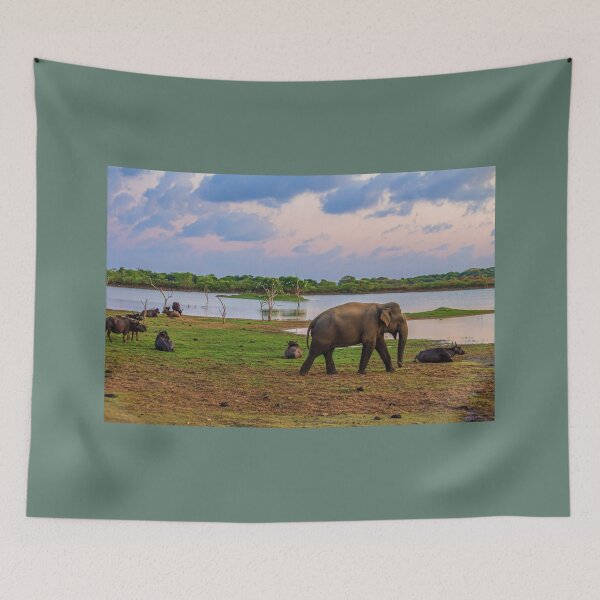 Item preview, Sri Lanka. Yala National Park. Elephant and Buffalo. Sunset. designed and sold by vadim19.
