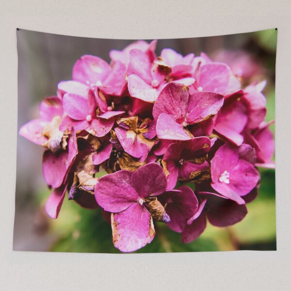 Item preview, Garden Photography #18 designed and sold by Olympia Ellinas.