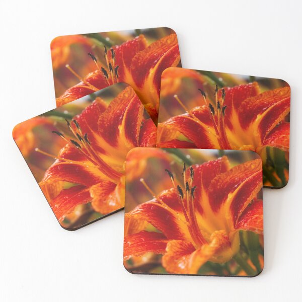 Item preview, Daylily Bold designed and sold by colorfulbundles.