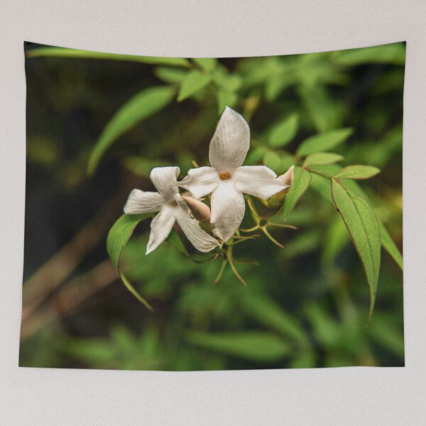 Item preview, Garden Photography #19 designed and sold by Olympia Ellinas.