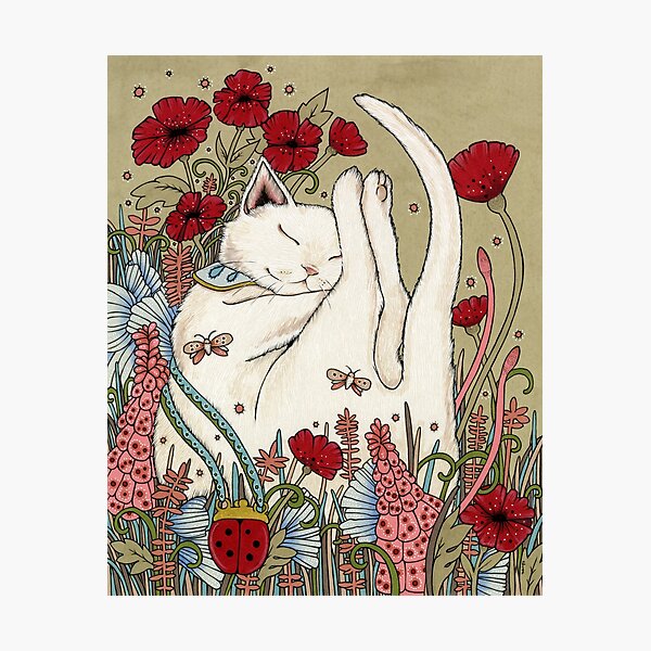 Poppies and Ladybug Photographic Print