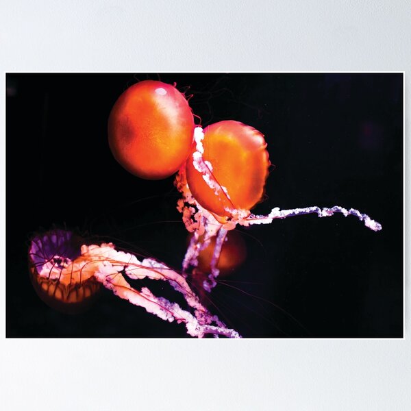 Item preview, Etherial Jellyfish designed and sold by GoodPalGaz.