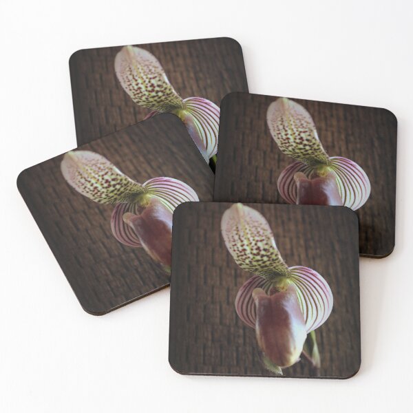 Item preview, Mutant Ninja Slipper Orchid designed and sold by Michael May.