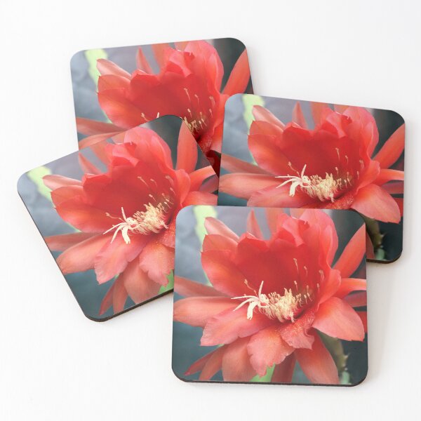 Item preview, Jungle Cactus Red designed and sold by Michael May.